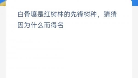白骨壤是红树林的先锋树种猜猜因为什么而得名