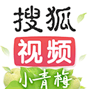搜狐视频 客户端电脑版